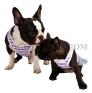 Mops und französiche Bulldoggen Hundebekleidung, DoggyDolly Hundebekleidung für Möpse und französiche Bulldoggen